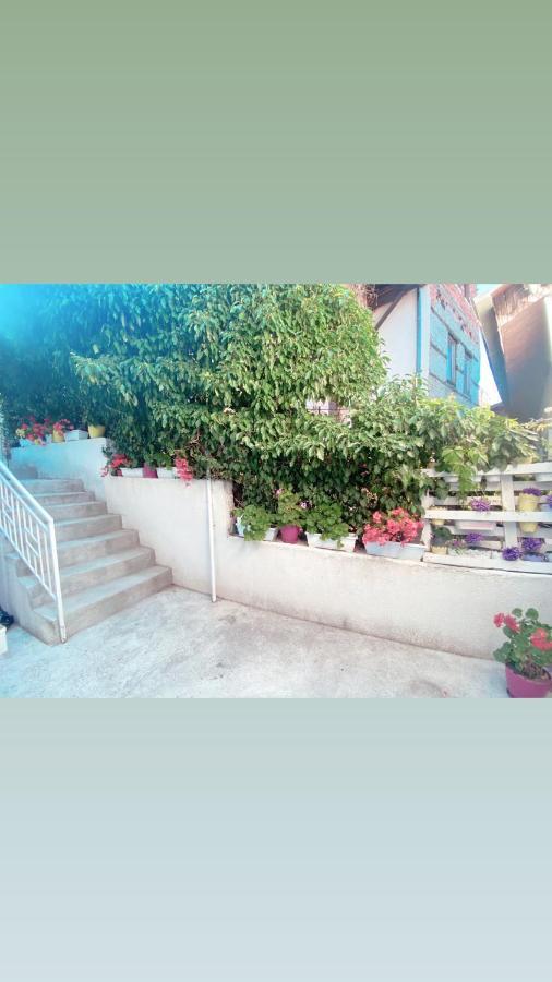 Galeb Apartment Ohrid Buitenkant foto